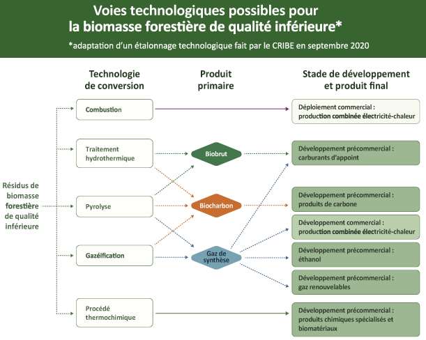Ce diagramme illustre l’état d’avancement technique et commercial de diverses utilisations actuelles et émergentes pour la biomasse forestière de qualité inférieure sous forme d’écorce. Cela démontre que les nouvelles utilisations de la biomasse forestière de qualité inférieure nécessitent des investissements importants dans le développement précommercial.