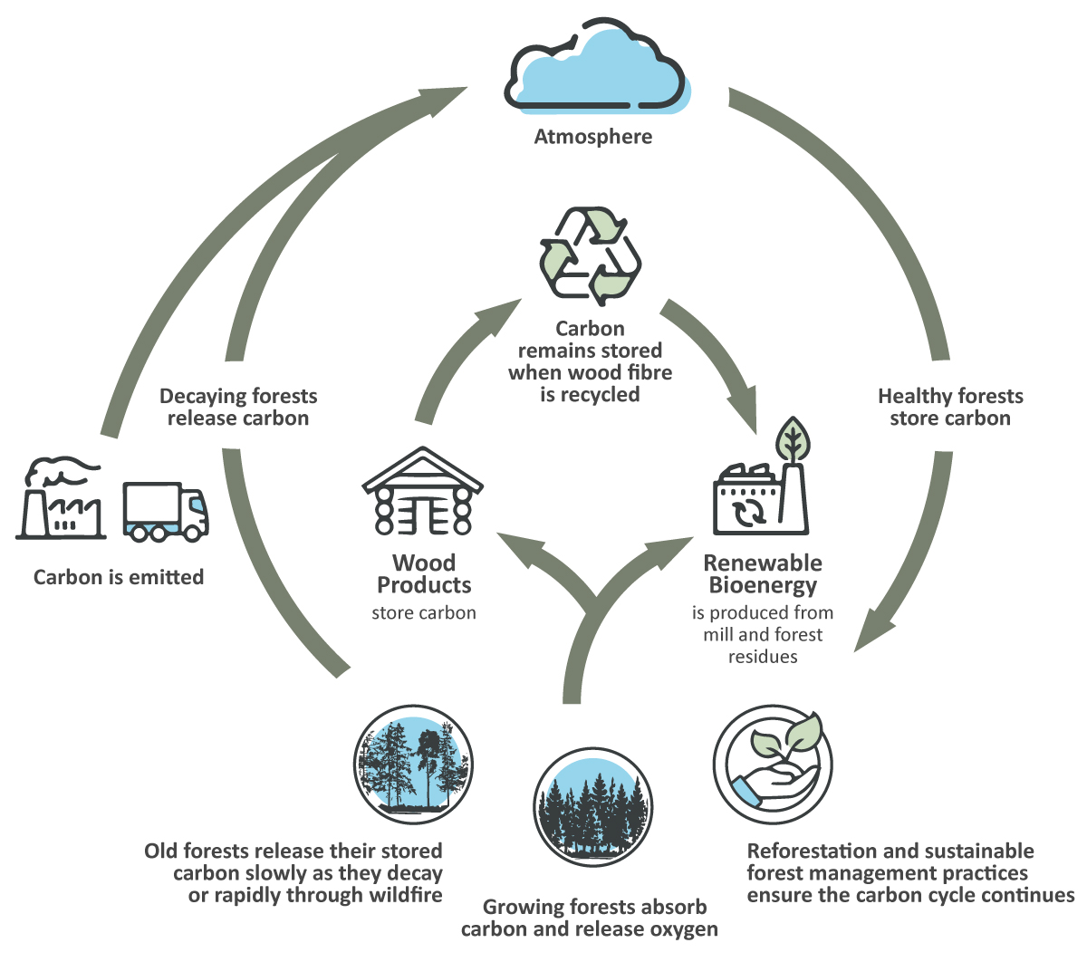 Sustainable forest management and carbon storage using an Ontario boreal forest example with wildfire suppression