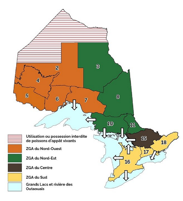 Zones de gestion des appâts indiquant l’exception (flèches blanches) pour le déplacement des appâts hors des ZGA vers les Grands Lacs