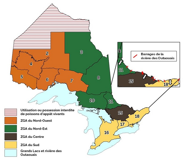 Zones de gestion des appâts indiquant l’exception (flèches blanches) pour le déplacement des appâts à l’intérieur et à l’extérieur de la rivière des Outaouais