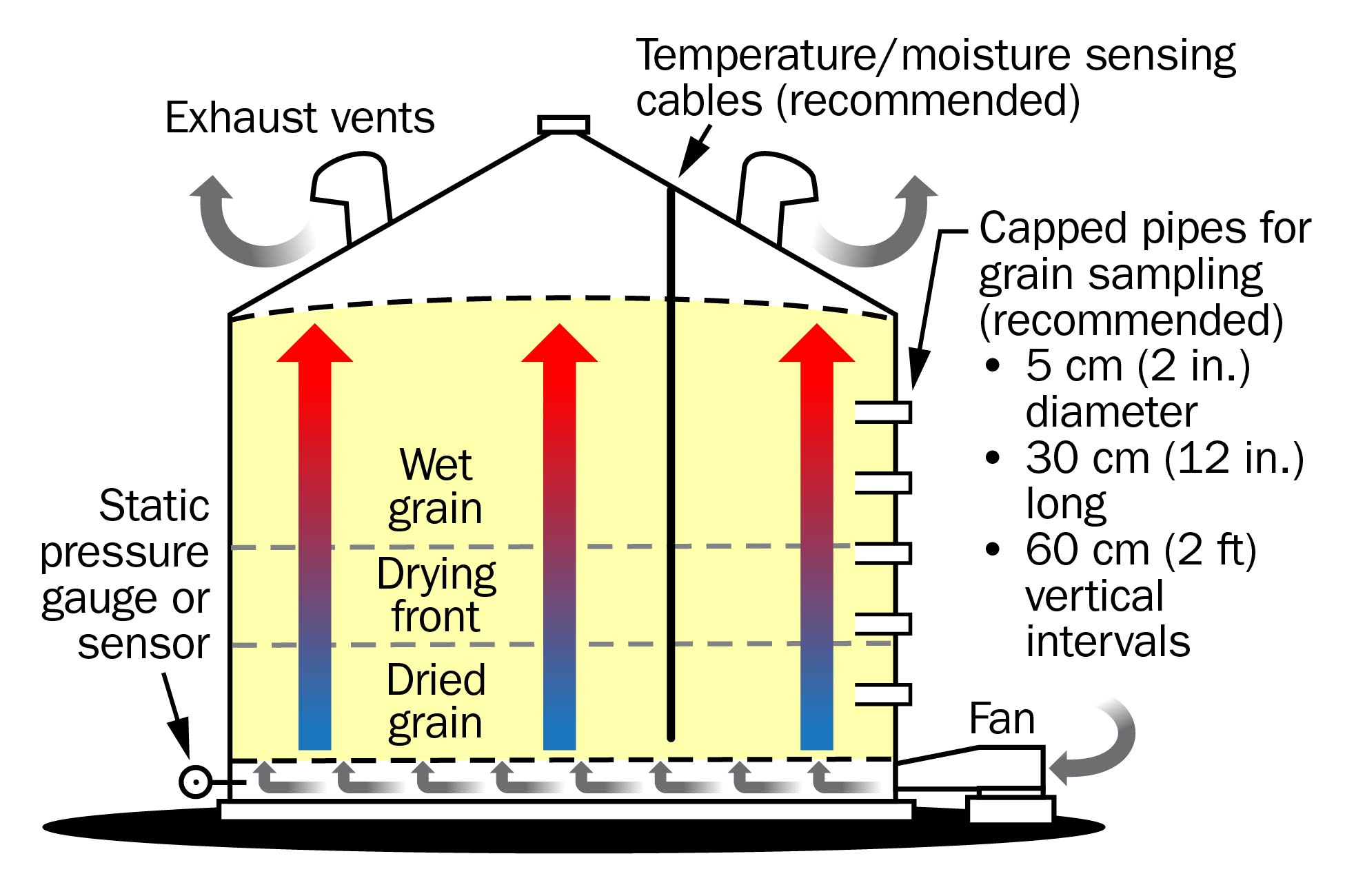This drawing shows grain in a bin as it is being dried. Key components of a drying bin are labeled. Drying takes place in a “front” or layer which moves up through the grain as it dries. Grain below the front is dry and grain above the front is wet.