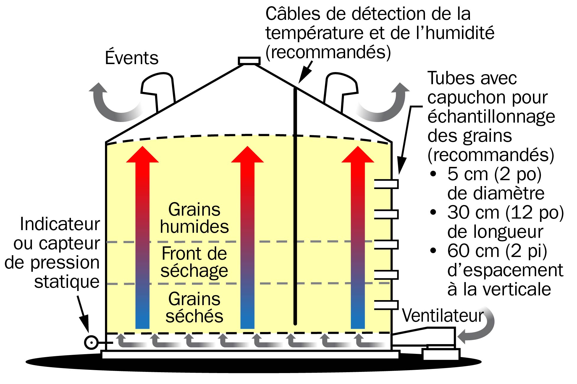 Le dessin représente des grains en train de sécher dans un silo. Les principaux éléments du silo utilisés pour le séchage sont étiquetés. Les grains sèchent dans un « front de séchage », c’est-à-dire une couche de grains qui se déplace vers le haut à mesure que les grains sèchent. Les grains situés sous ce front sont secs et les grains qui sont au-dessus sont encore humides.