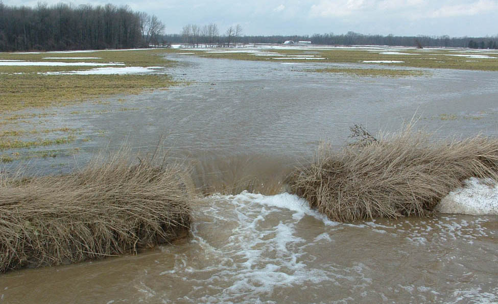 point of concentration of surface water runoff flowing across a field