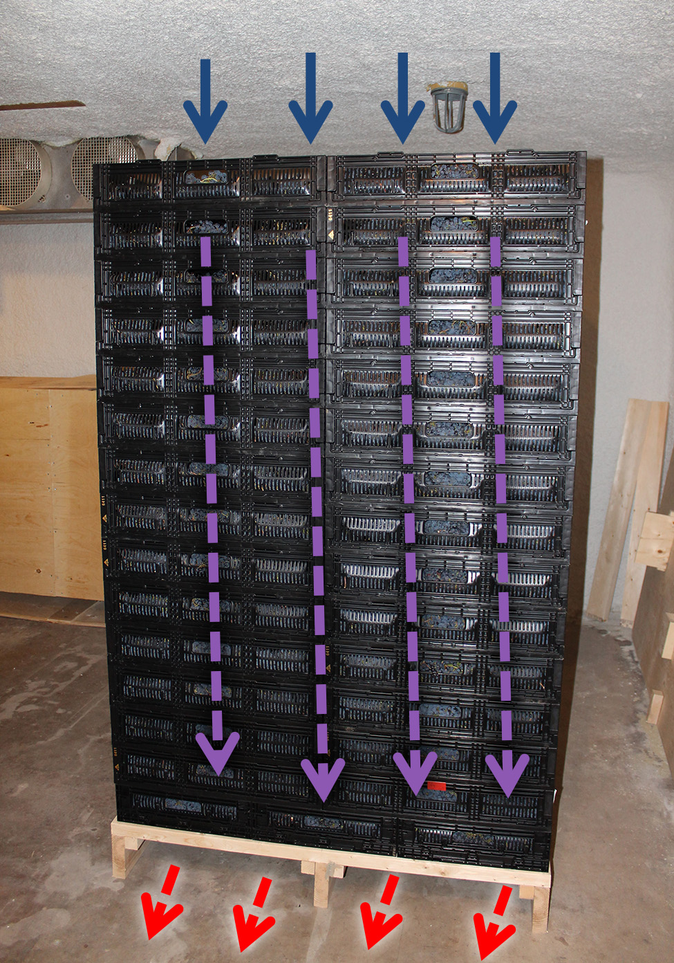 This column vertical airflow system uses reusable plastic containers with bottom vents. Cold air (blue arrows) is pulled vertically down from the top.