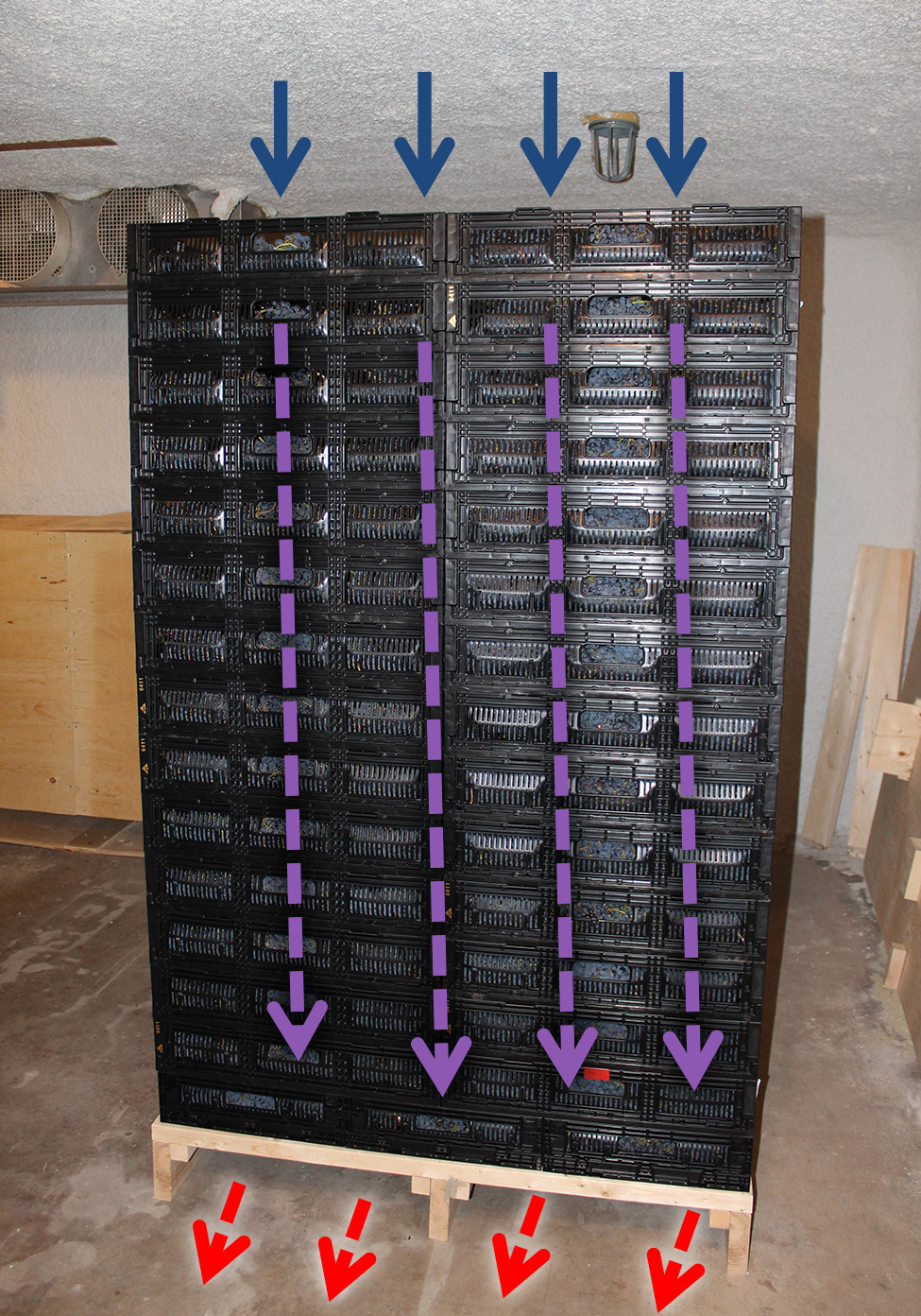 a pallet stacked with produce boxes