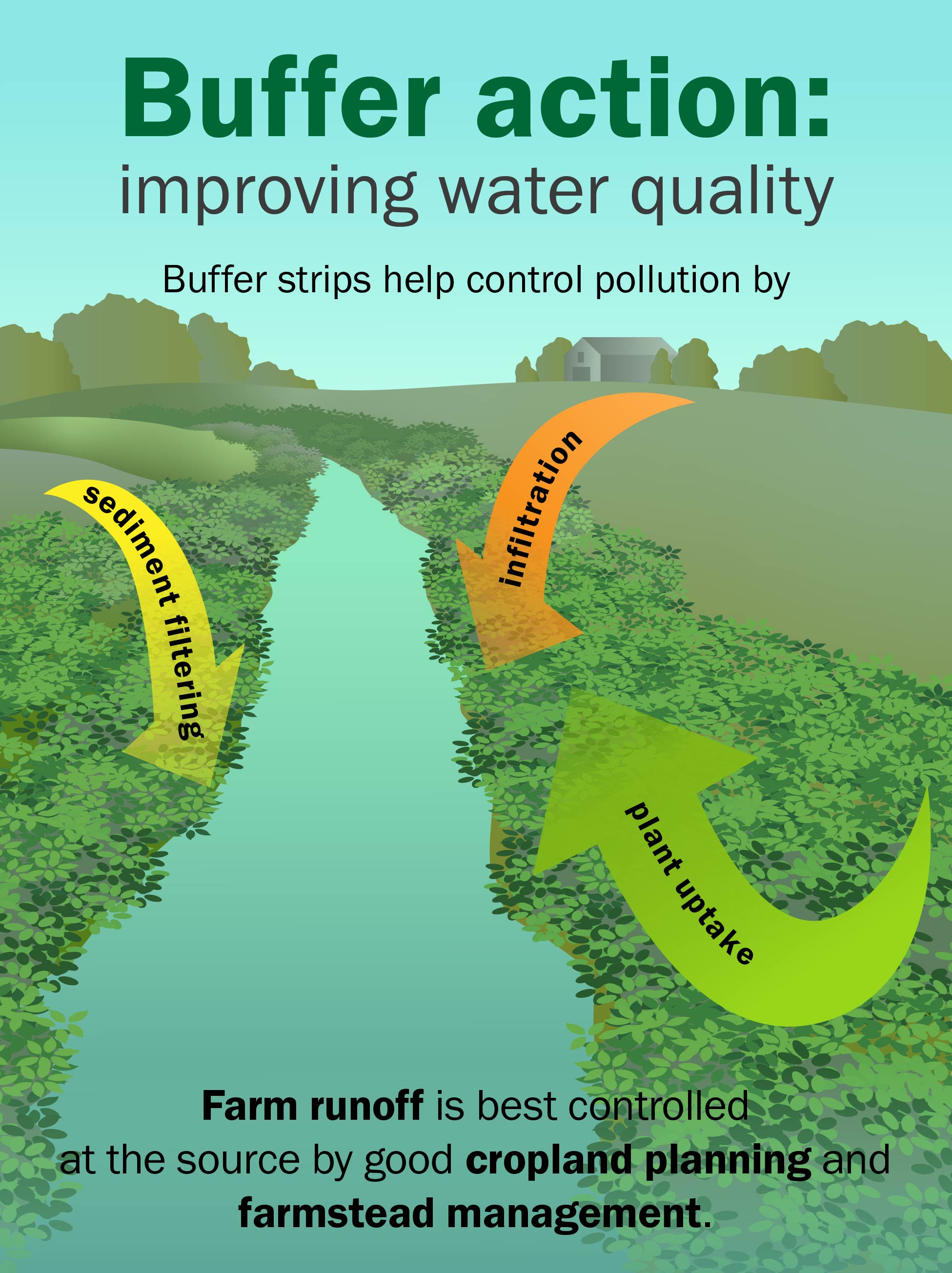 A creek running through a field and graphic arrows pointing to the buffer areas along the creek