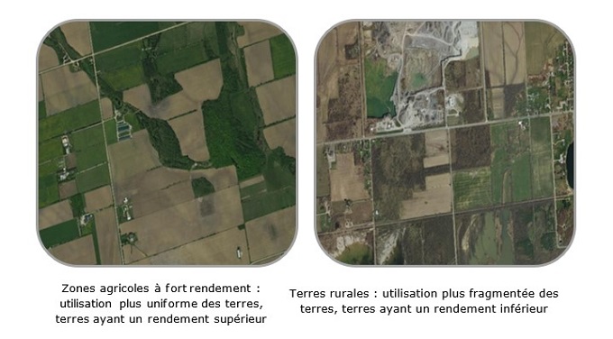 Comparaison de zones agricoles à fort rendement et de terres rurales.  Zones agricoles à fort rendement : utilisation plus uniforme des terres, terres ayant un rendement supérieur et Terres rurales : utilisation plus fragmentée des terres, terres ayant un rendement inférieur.