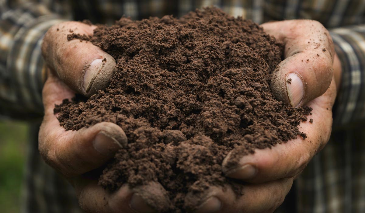 Close-up photo of hands holding soil.