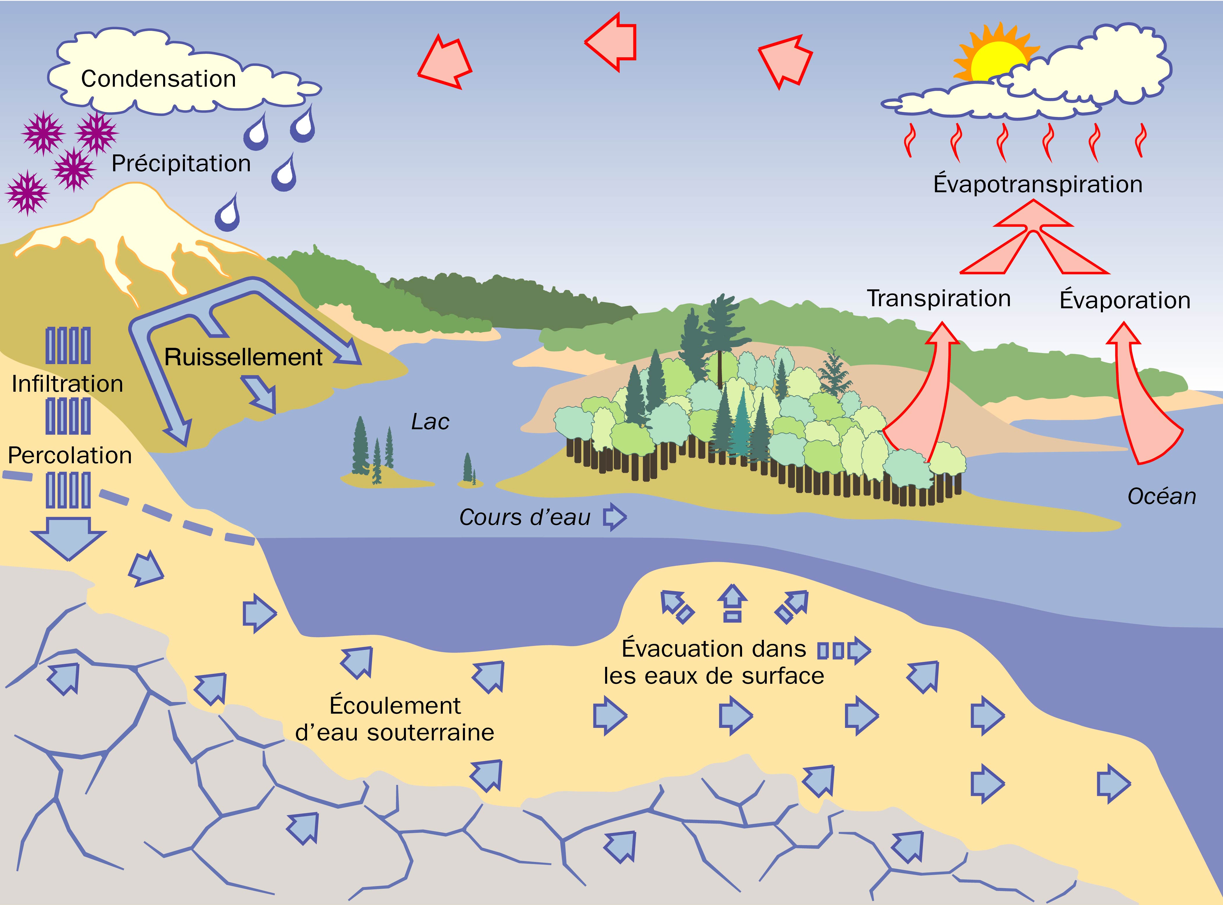 Le dessin illustre comment le cycle de l’eau engendre les précipitations dans les montagnes, ce qui entraîne le ruissellement vers les océans, les lacs et les rivières. Le ruissellement permet aussi d’alimenter les eaux souterraines. L’eau s’évapore des étendues d’eau pour se retrouver de nouveau dans l’atmosphère. 