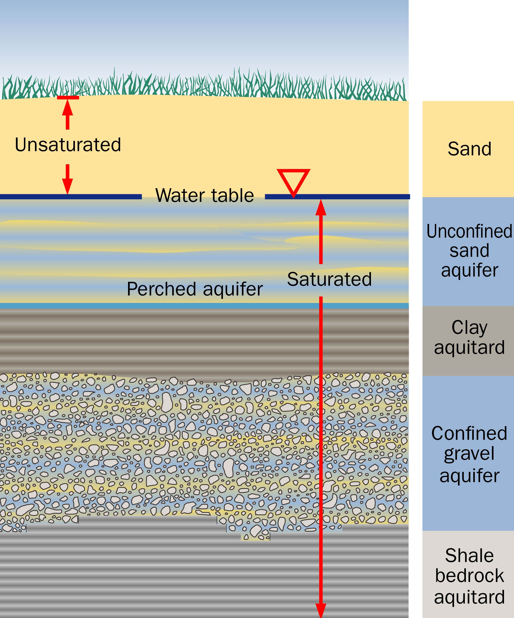 Various layers of saturated and unsaturated soil types that exist above and below the water table