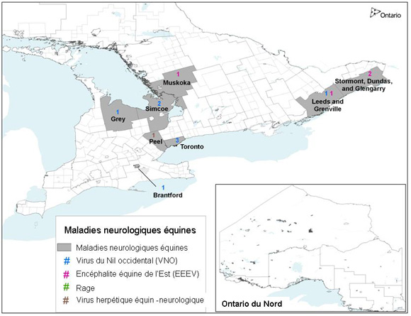 Une carte représentant des endroits de cas de maladies neuologiques équines en Ontario — 2011.