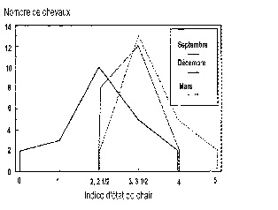 Évolution de l'état de chair d'un troupeau de chevaux