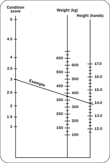 https://www.ontario.ca/files/2022-05/omafra-estimating-body-weight-for-horses-en-2-350x519.jpg