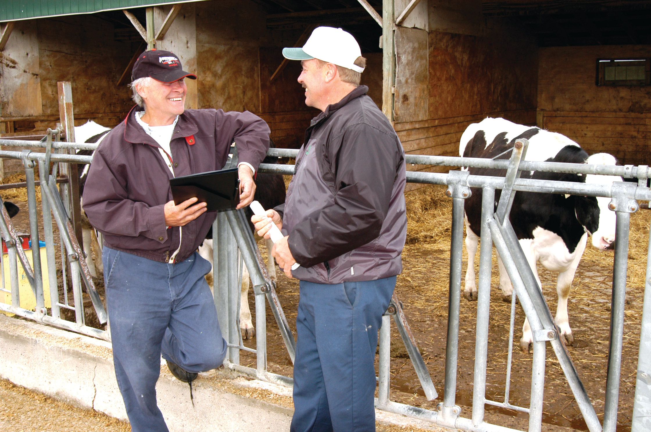 2 male farmers standing in front of a dairy yard, with a Holstein cow in the background