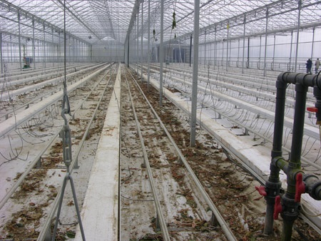 Plancher recouvert de débris de plantes durant le nettoyage.