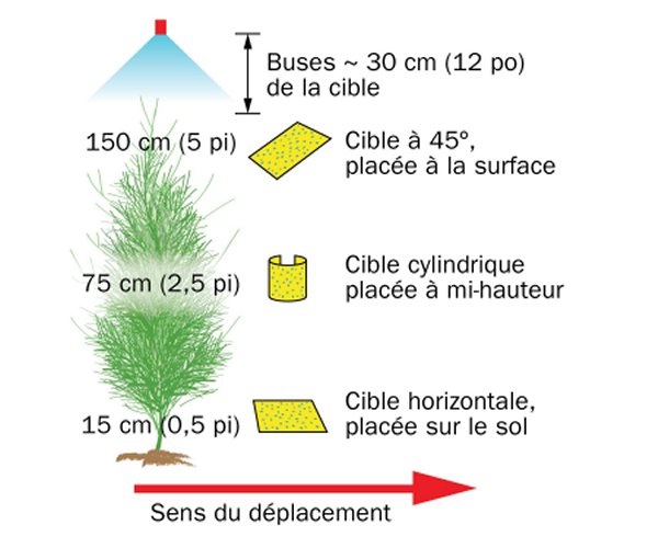 Emplacement des cibles de papier hydrophile par rapport aux rameaux d’asperge, au pulvérisateur et au sens du déplacement du pulvérisateur.