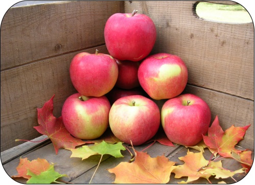 Ambrosia™ apples.