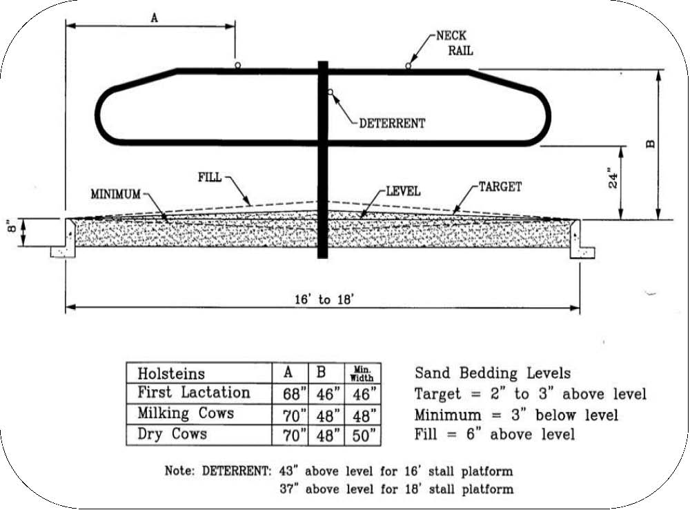 Side view of dimensions for loops and stall size in head-to-head sand bedded stall