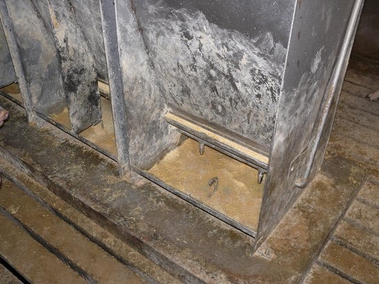 Broken feeders contribute to feed waste.
