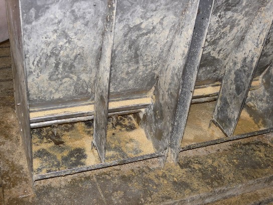 Adjusting feeder pan coverage to the size of the pigs can control feed waste.