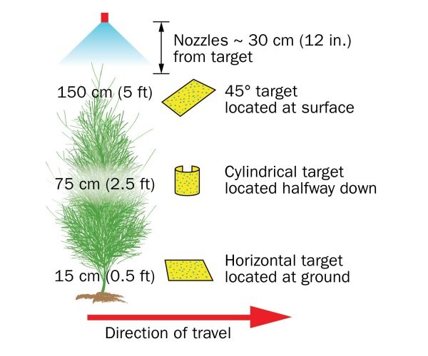 Layout of water-sensitive paper targets relative to asparagus fern, sprayer and sprayer direction of travel.