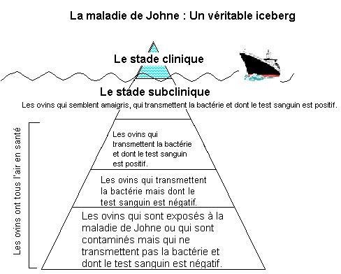 La maladie de Johne : Un véritable iceberg