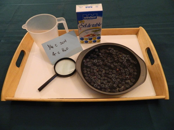Set up for salt tests.