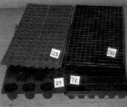 Plateaux de diverses tailles pour la production de plants de légumes.