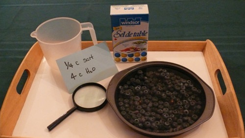 Materials needed for salt water test.