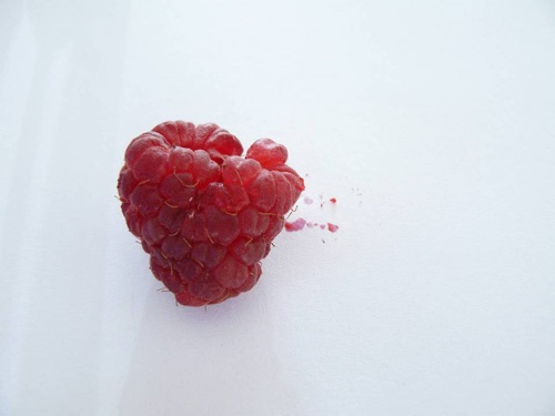 Infested berries have a poor shelf life and are usually soft.