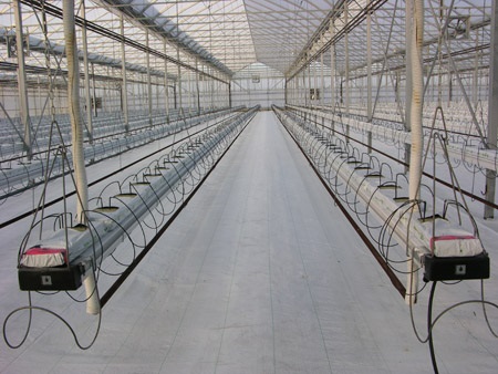 Greenhouse after thorough cleanup and disinfection.