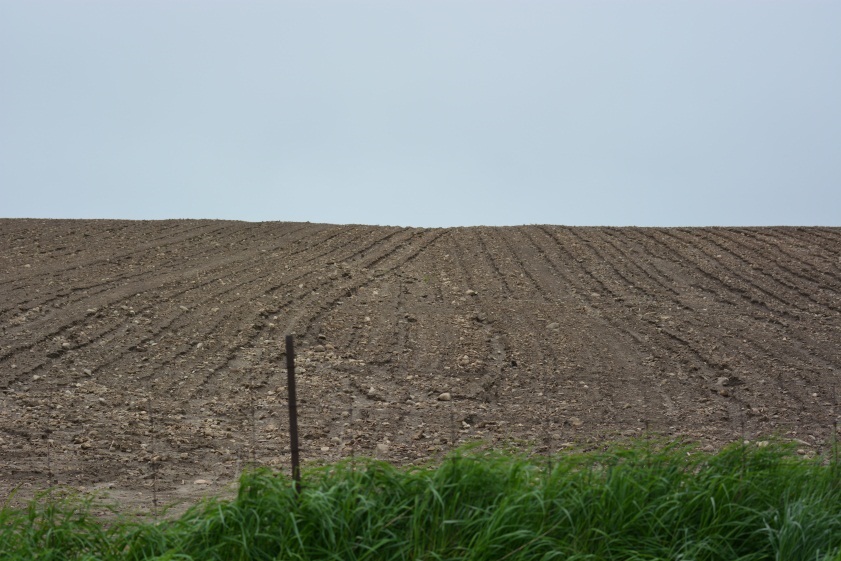 Example of severe erosion occurring in Ontario crop fields.
