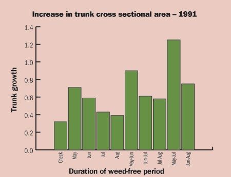 Tree growth in newly planted Gala/M26 trees under one month, two month or three month weed-free periods.