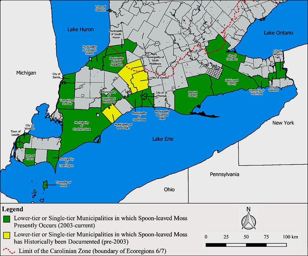Figure 5. Historical and current distribution of Spoon-leaved Moss in Ontario