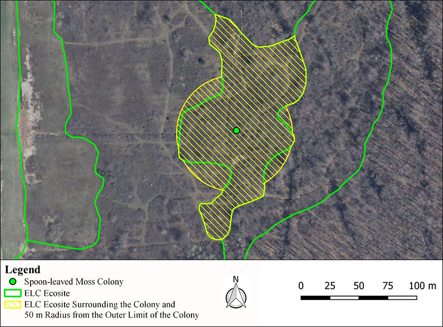 Figure 6. Habitat regulation recommendation for Spoon-leaved Moss