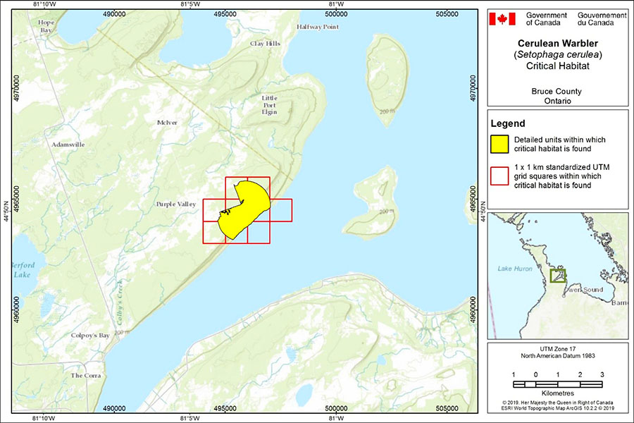 Figure A-1. Critical habitat for the Cerulean Warbler in Bruce County, Ontario