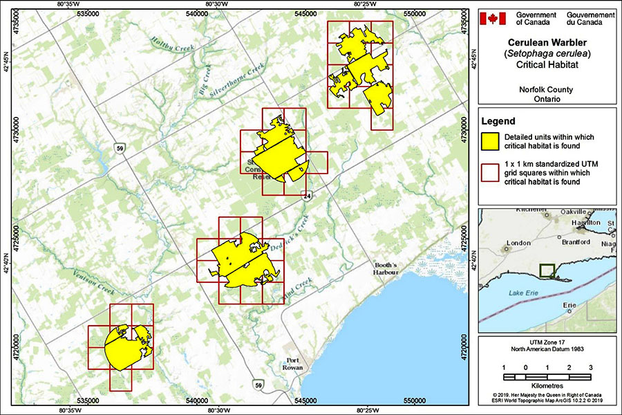 Figure A-2. Critical habitat for the Cerulean Warbler in Norfolk County, Ontario