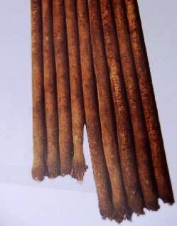 Edible burdock