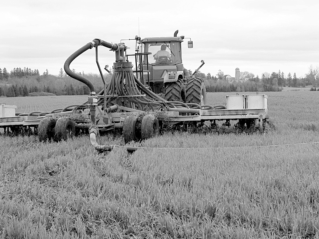 Faites glisser l'applicateur de fumier à tuyau à l'aide d'un outil Aerway pour appliquer du fumier sur une culture de blé d'hiver.