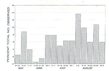 Seasonal occurence of adult Hemerobius sp. in an unsprayed (no insecticide) apple orchard at Jordan Station, Ontario.