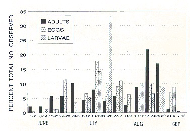 Seasonal occurence of eggs, larvae and adults of Chrysopidae in an unsprayed (no insecticide) apple orchard at Jordan Station, Ontario.