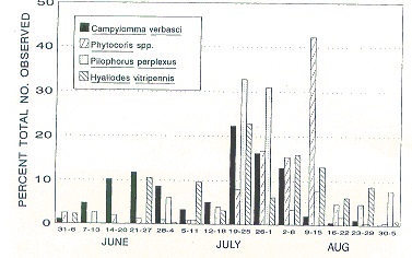 Seasonal occurrence of species of Miridae in an unsprayed (no insecticide) apple orchard at Jordan Station, Ontario.