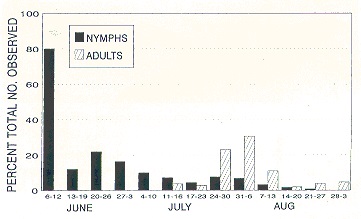 Seasonal occurrence of nymphs and adults of Acholla multispinosa in an unsprayed (no insecticide) apple orchard at Jordan Station, Ontario.