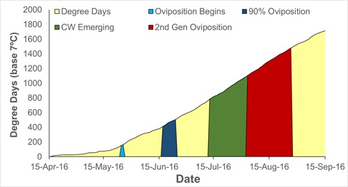 Degree Days (base 7 degrees C) accumulated over the 2016 growing season and potential life stages of the carrot weevil.