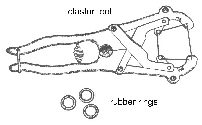 Ideal Premium Castrating Tool For Calves