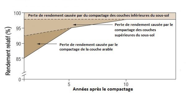 Effet relatif du compactage sur le rendement selon la durée de la présence de compactage dans le sol.