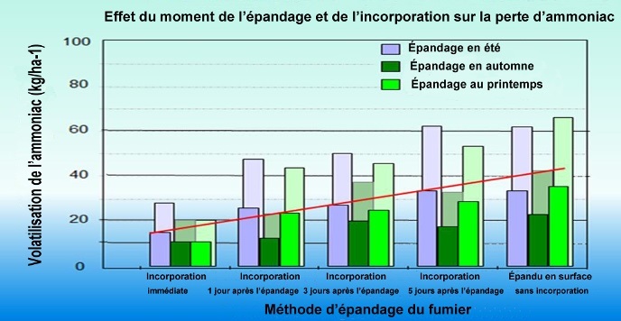 Effet du moment de l'épandage et de l'incorporation sur la perte d'ammoniac.