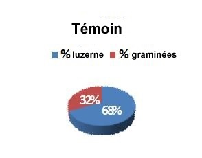 Rendement fourrager (2ième coupe) après fertilisation l’année précédente à raison de 200 lb/ac de sulfate de potassium.