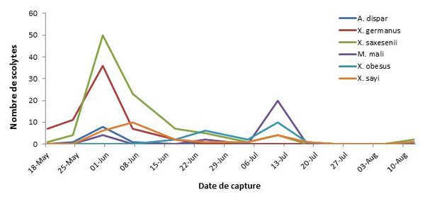 District 1 — Échantillons de scolytes du bois recueillis dans trois vergers dotés de deux pièges chacun (n=6) pendant 10 semaines.