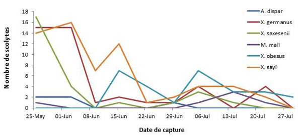 District 2 — Échantillons de scolytes du bois recueillis dans deux vergers dotés de deux pièges chacun (n=4) pendant 8 semaines.